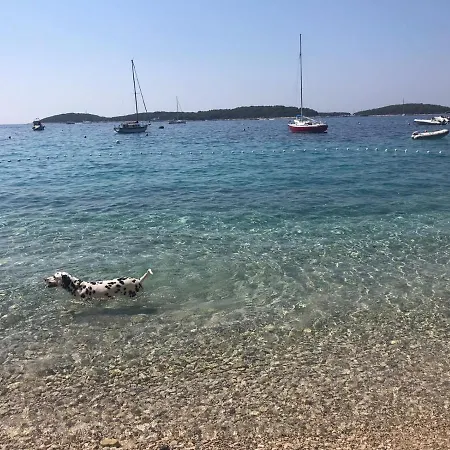 Apartmani Marinka Viskovic Hvar Town Exterior photo