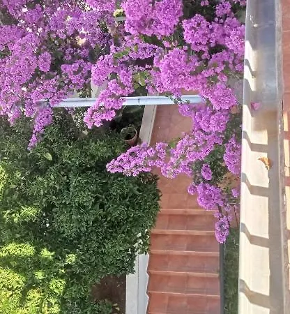 Apartmani Marinka Viskovic Hvar Town Room photo